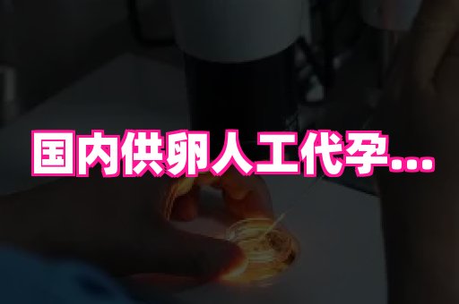 合肥助孕网站 4